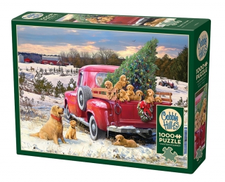 Cobble Hill Family Outing 1000 Piece Puzzle 40029