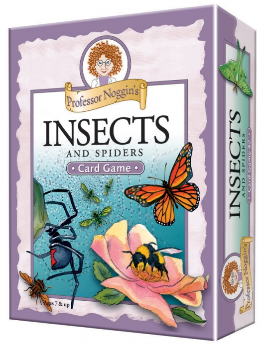 OUTSET Professor Noggin's Insects and Spiders 10412